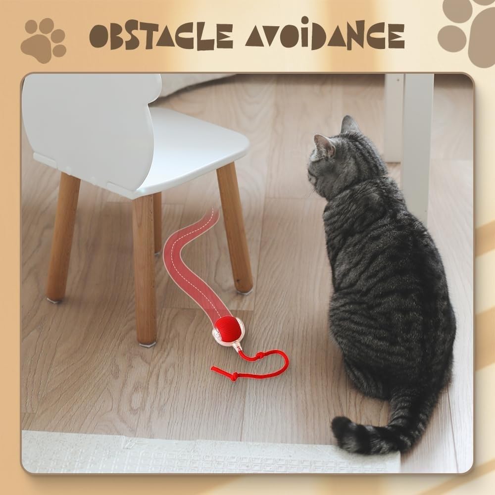 Viral Rolling Ball,Interactive Cat Ball Toy