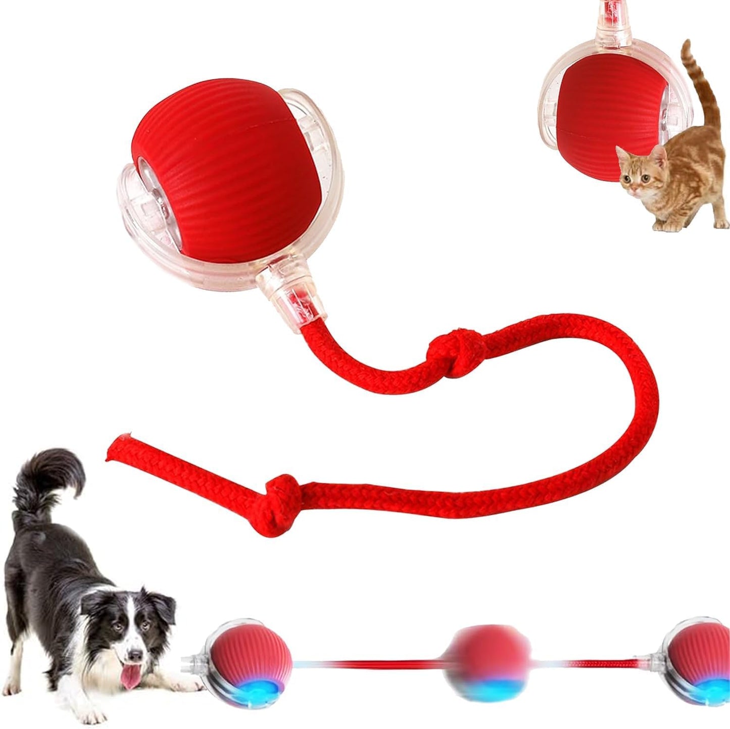 Viral Rolling Ball,Interactive Cat Ball Toy