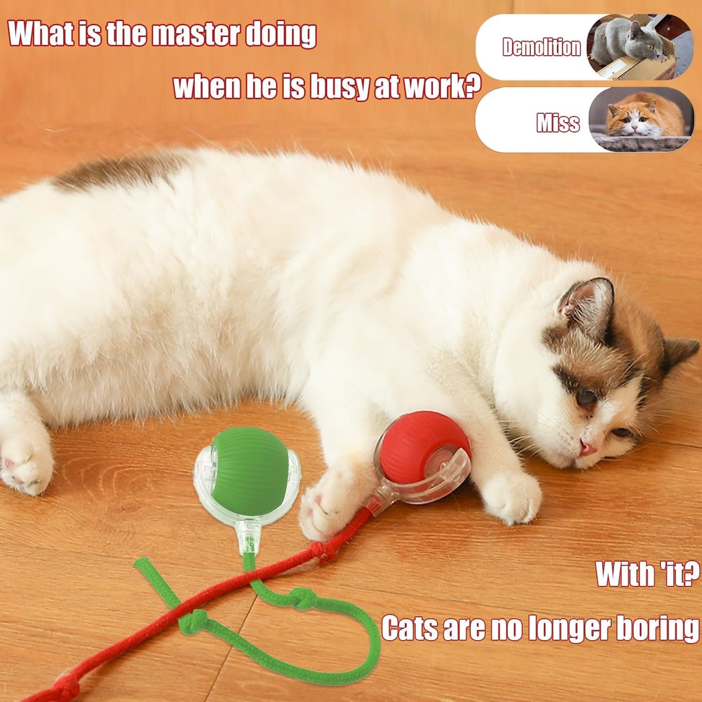 Viral Rolling Ball,Interactive Cat Ball Toy