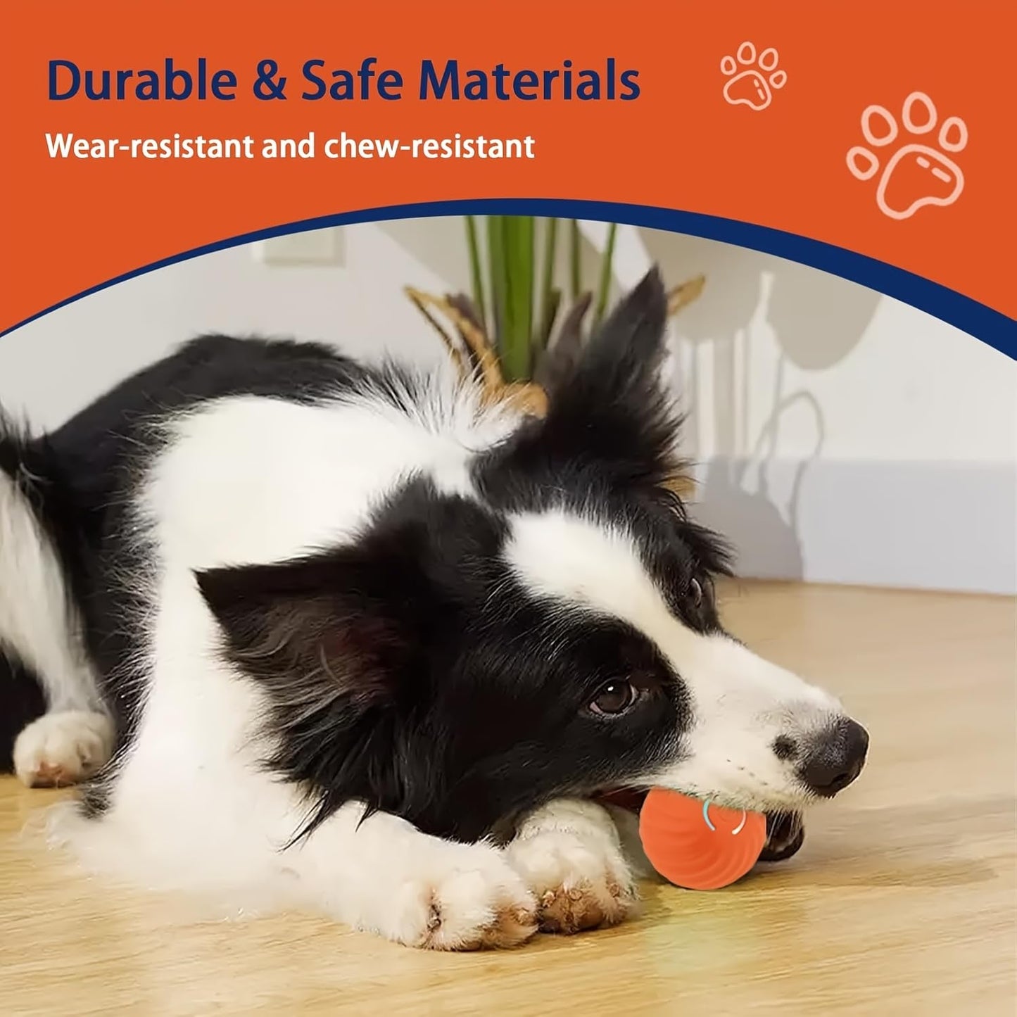 Viral Rolling Ball,Interactive Cat Ball Toy