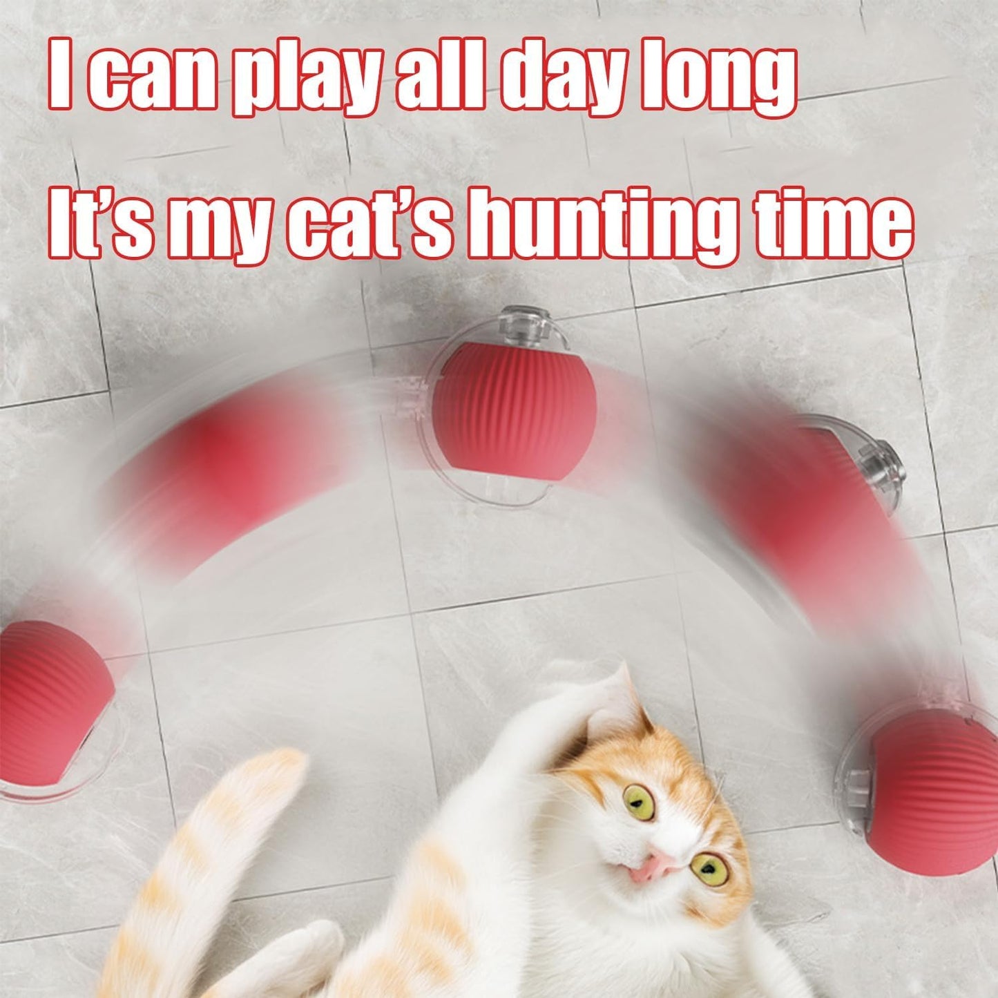 Viral Rolling Ball,Interactive Cat Ball Toy