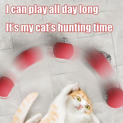 Viral Rolling Ball,Interactive Cat Ball Toy